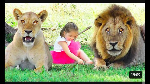 15 Wild animals that saved human lives