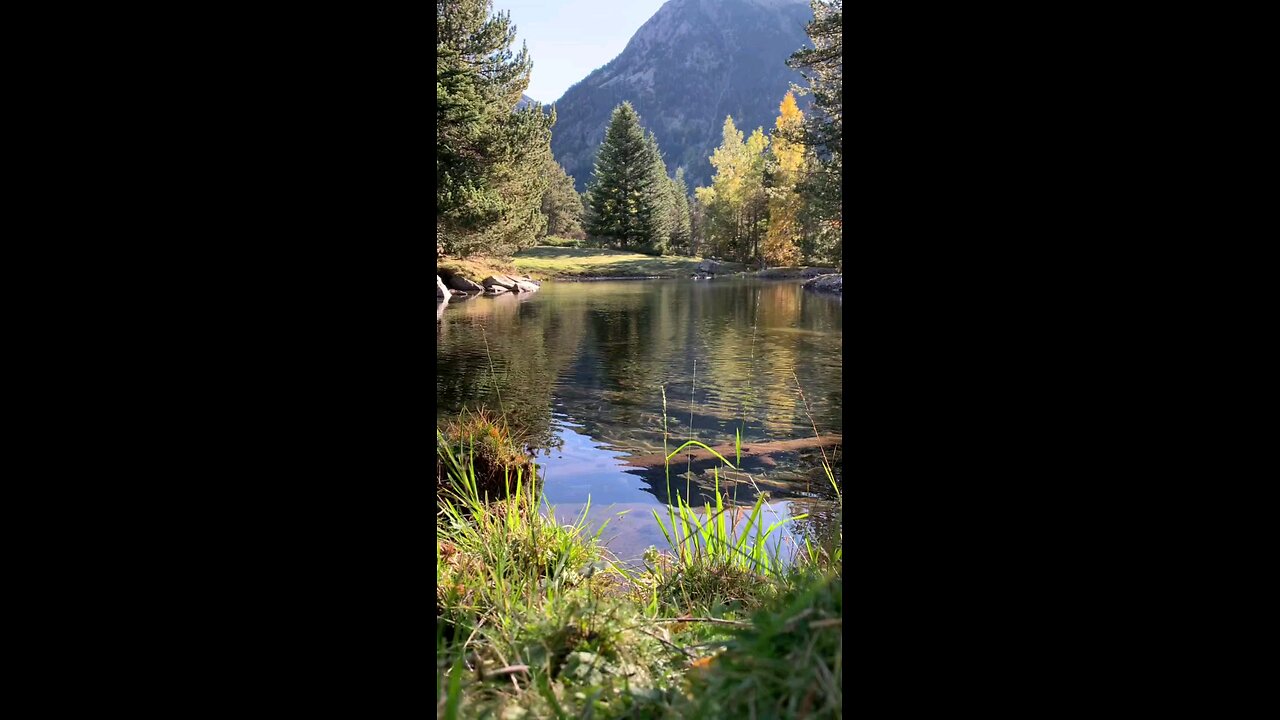 Nature's Beauty