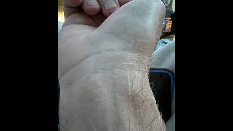 🎼🦁🦅❤️⏳❤️🦅🦁🎼