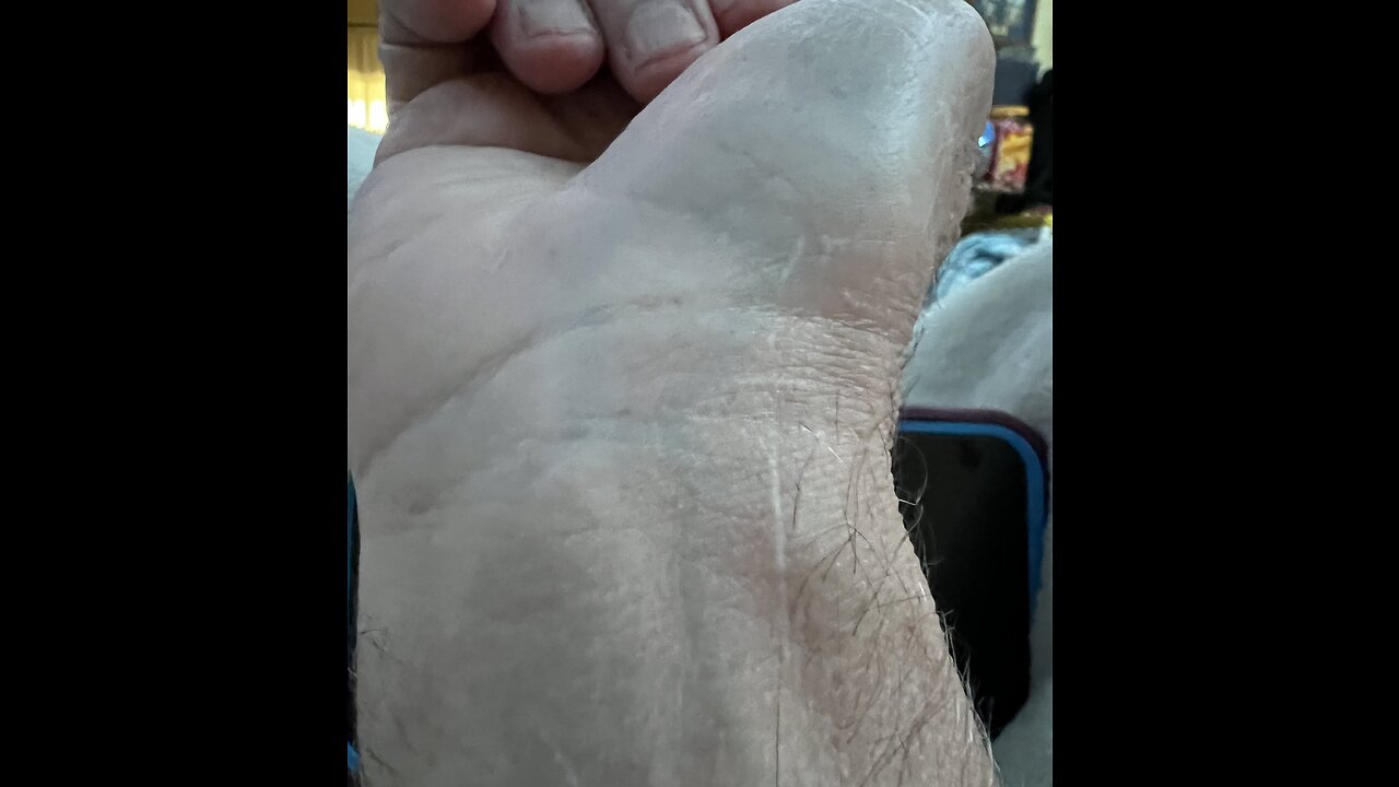 🎼🦁🦅❤️⏳❤️🦅🦁🎼