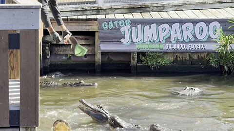 Viva Family Visits Florida's Gatorland! It Was AWESOME!