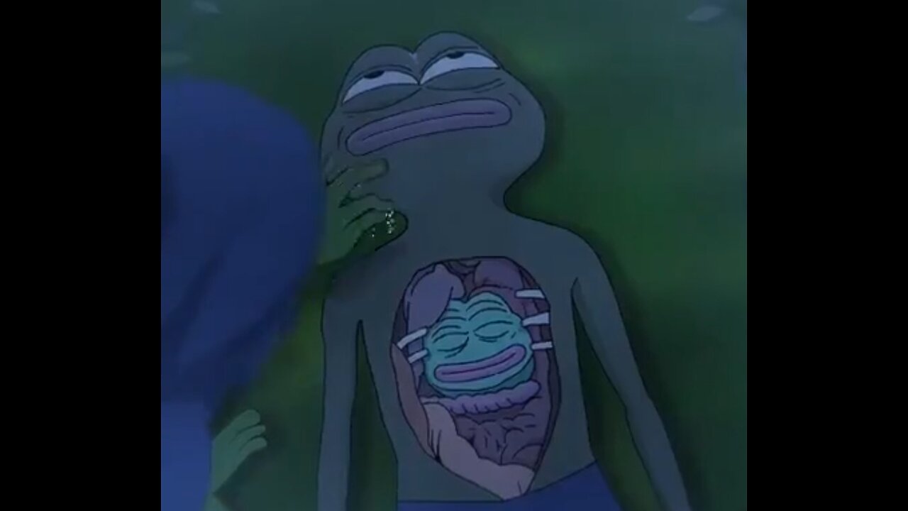 Life cycle of a frog - PEPE ROCKS - WE ARE THE NEWS NOW