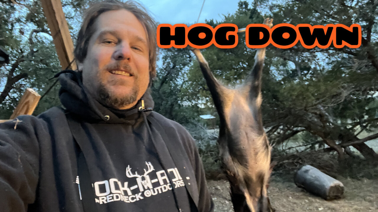 HOG DOWN!/WHERE ARE THE DEER - Last Hunt Of Texas Deer Season (Part 1) Wild hogs/Pigs Whitetail Deer