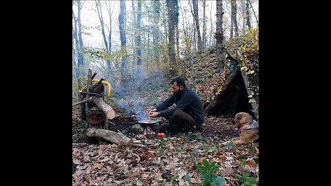 Building bushcraft shelterand outdoor camping