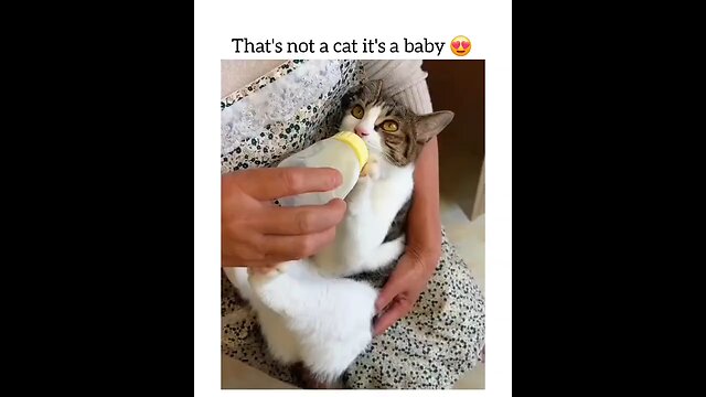 Not A Cat its A Little Cute Baby🥰