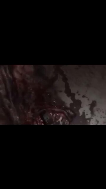 CROSS-SPECIES GENETIC BIOENGINEERING | JUST ONE OF MANY EVILS IN THE DUMBS - TRUMP NEWS