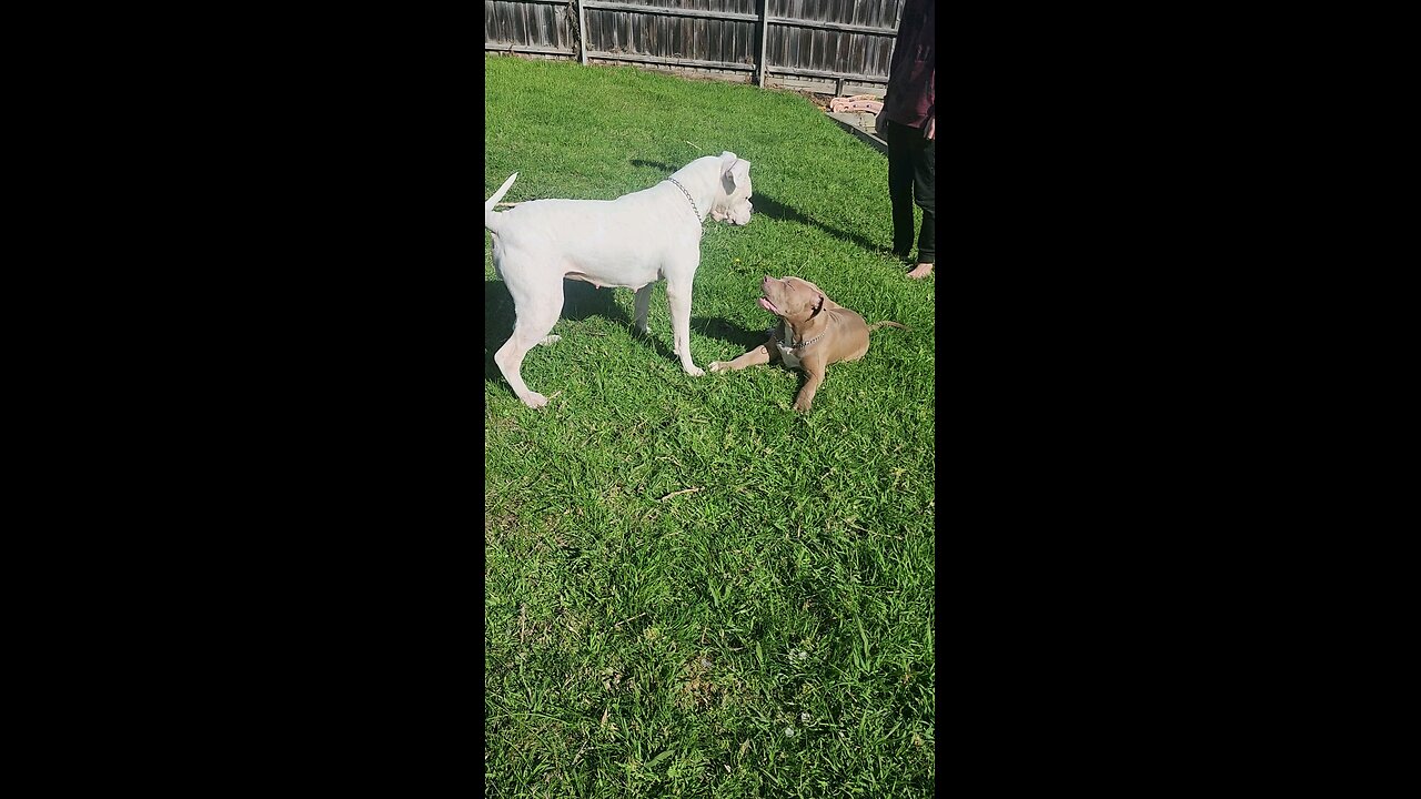 When they meet for the first time 🥰