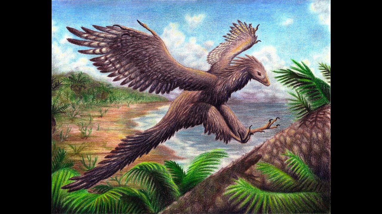 Dinosaur-Bird Seen on Ontario First Nations Reservation