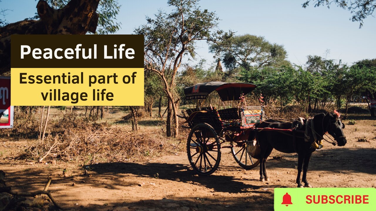 Experience Serenity: Delve into the Heart of Village Life