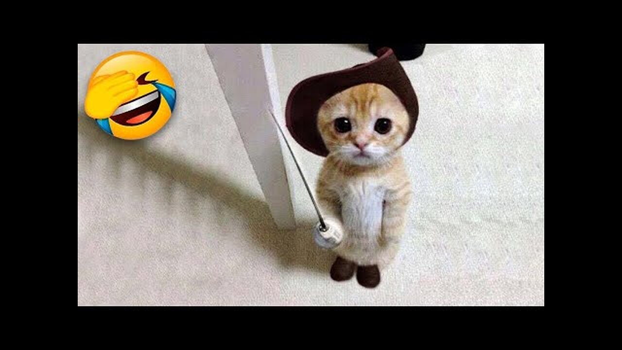 Funniest Cats and Dogs 🐶🐱 | Funny Animal Videos 2023