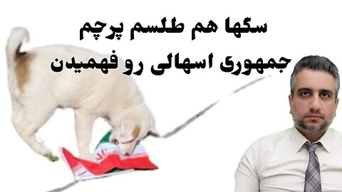 سگها هم طلسم پرچم جمهوری اسهالی رو فهمیدن