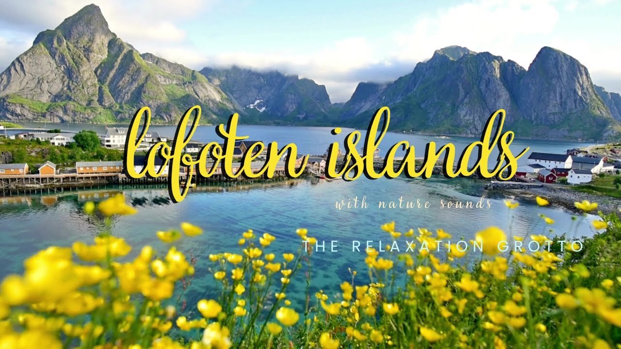 Lofoten Islands, Norway | Looking From a Field of Flowers | Nature Sounds, Mountain View, Water View