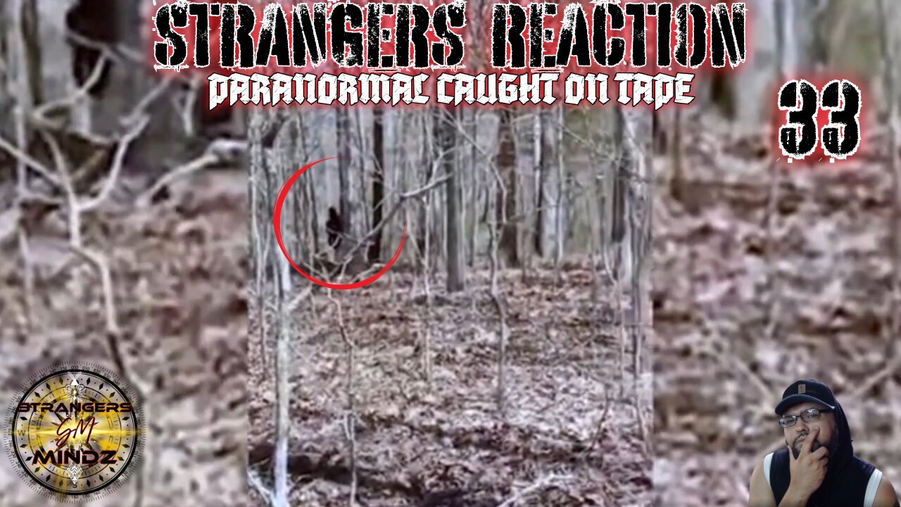 STRANGERS REACTION. Paranormal Caught On Tape. Paranormal Investigator Reacts. Episode 33