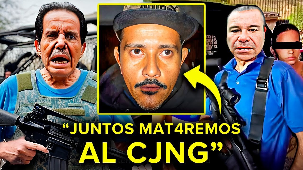 El Chapo Y El Mayo JUNTAN FUERZAS Para DESTRUIR AL CJNG