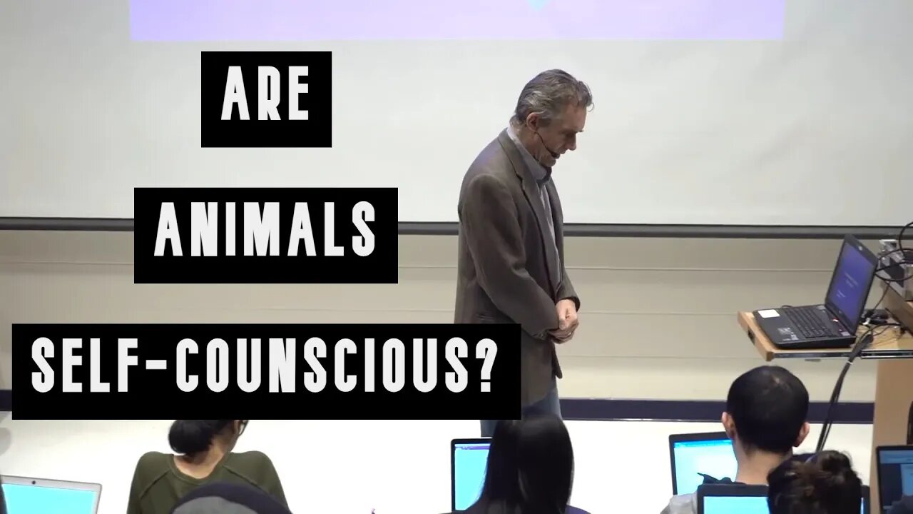 Are Animals Self-Conscious? | Jordan Peterson