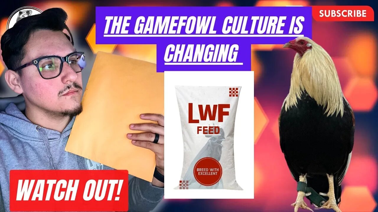 TOO Legit To Quit - Gamefowl Culture is Changing !