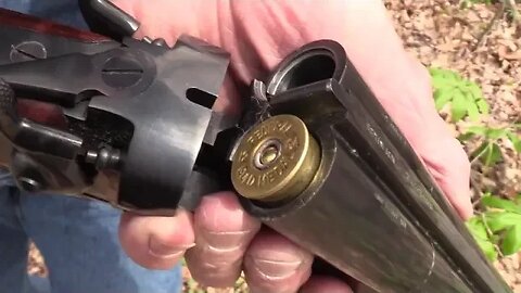 Rossi Overland Coach Gun Woods Walk