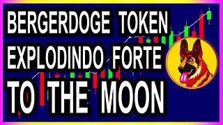 BERGERDOGE TOKEN EXPLODINDO FORTE TO THE MOON