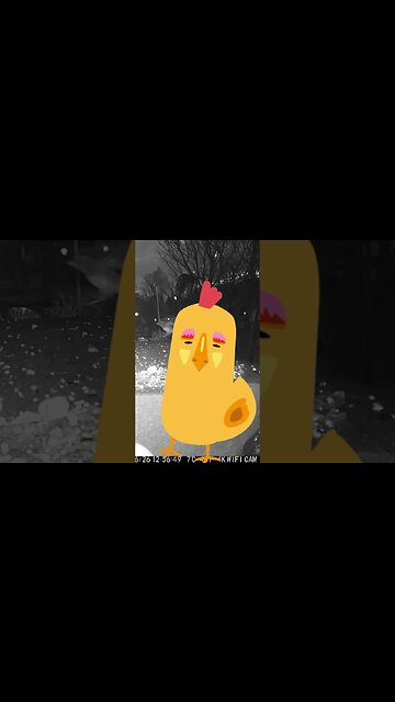 An Ugly Chicken Visits #Shorts 🍳