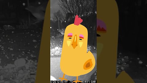 An Ugly Chicken Visits #Shorts 🍳