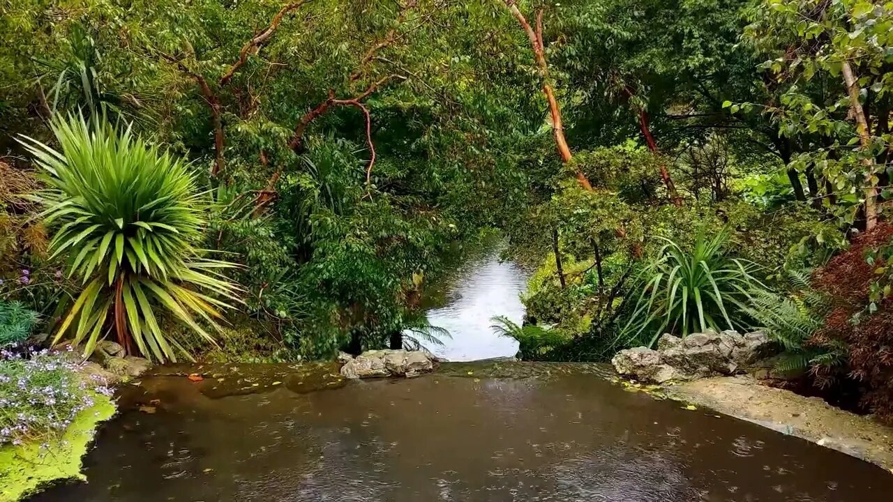 Rain over a shallow pond at the top of a small stream