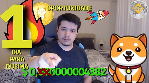 🚀 Baby Doge Vai te deixar Rico💰! | Veja como!