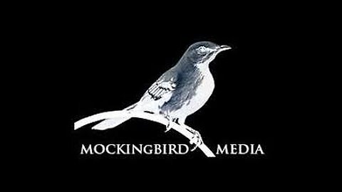 Mockingbird media alive and well