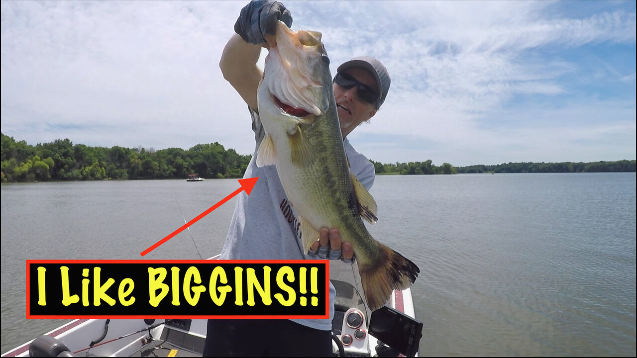 Caught A BIGGIN In Late May!! #bigbass #crankbait #bassfishing