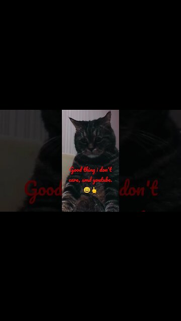 YouTube is shady.🥸🕴️