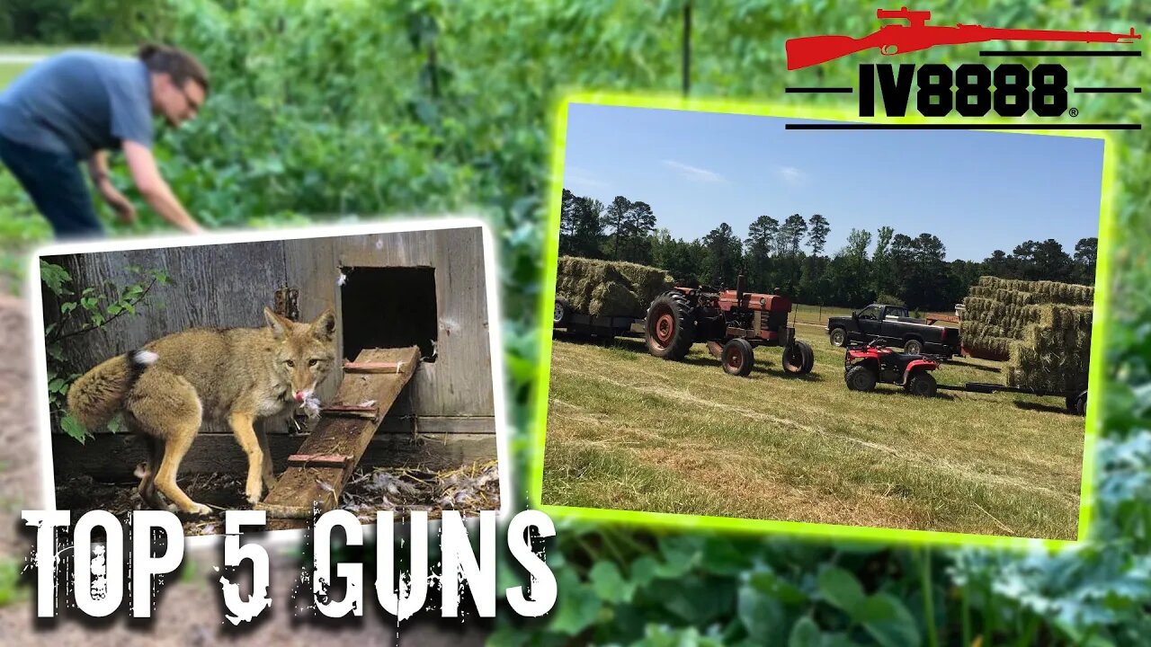 Top 5 Guns For the Modern Homesteader