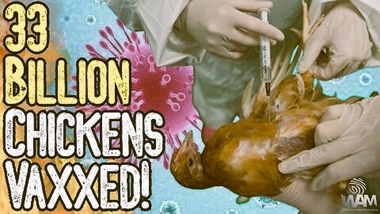 Bird Flu Can't Kill Humans Unless it is Weaponized Elites Vaccinated 33 Billion Chickens