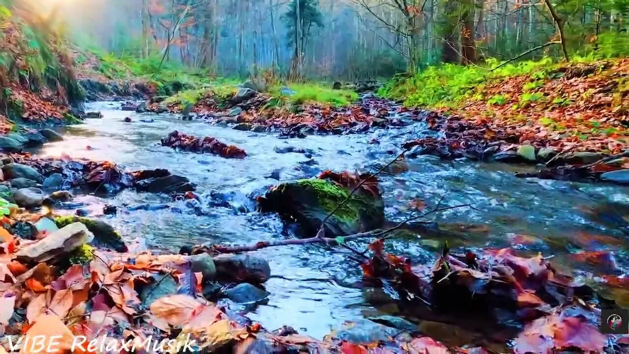 Beautiful Autumn River, Sounds of River Curving in Stones and Trees with sounds of birds