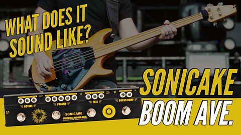 How Good Does a $99 Bass Multi-Effects Pedal Sound?