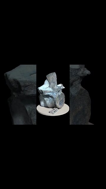 Fossil clues on the outside of the rock #shorts #fossil #hidden 🦕