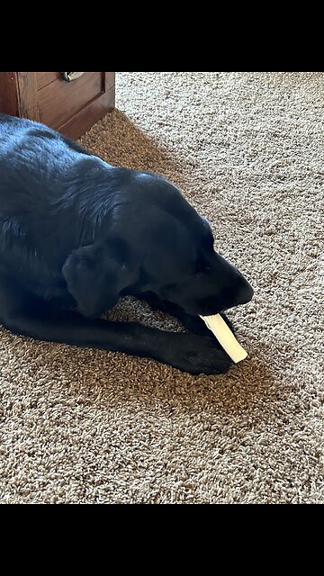 Title: Henny Brushes Her Teeth