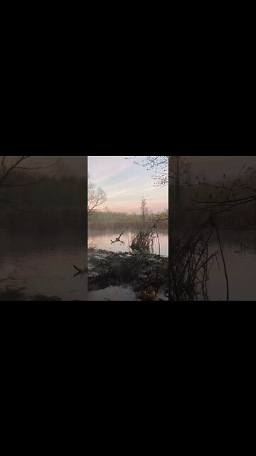 A view from the Duck Hole!