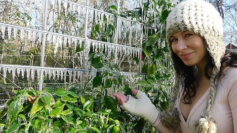 Covering GARDEN in ICE Protect it from FROST/VLOG