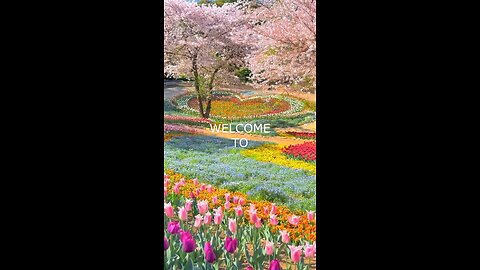 Nature's Symphony Exploring the Untouched Beauty of Japan's