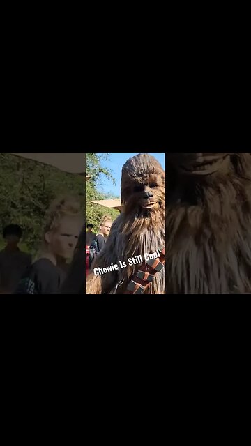Seen Around Batuu | Don't Care Chewie Is Still Cool.