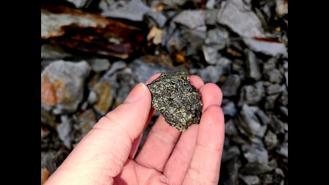 BORNITE RICH QUARTZ ON MOUNT SICKER!