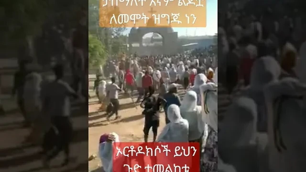 #Shorts-orthodox Tewahedo#ሰብስክራይበር #youtubeshorts #etiopian