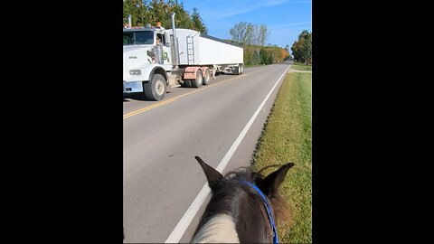 Justice the 6yr old TWH passed by Semi - 3 Oct 2024