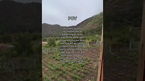 An Other Day Of Gardening tiktok chlloettee