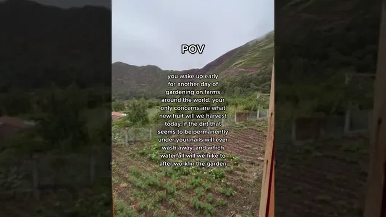 An Other Day Of Gardening tiktok chlloettee
