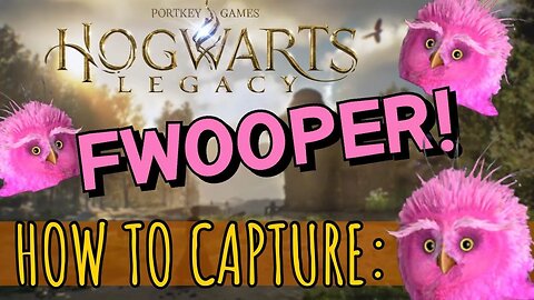 ⚡Where to Find and Capture the Fwooper in Hogwarts Legacy⚡