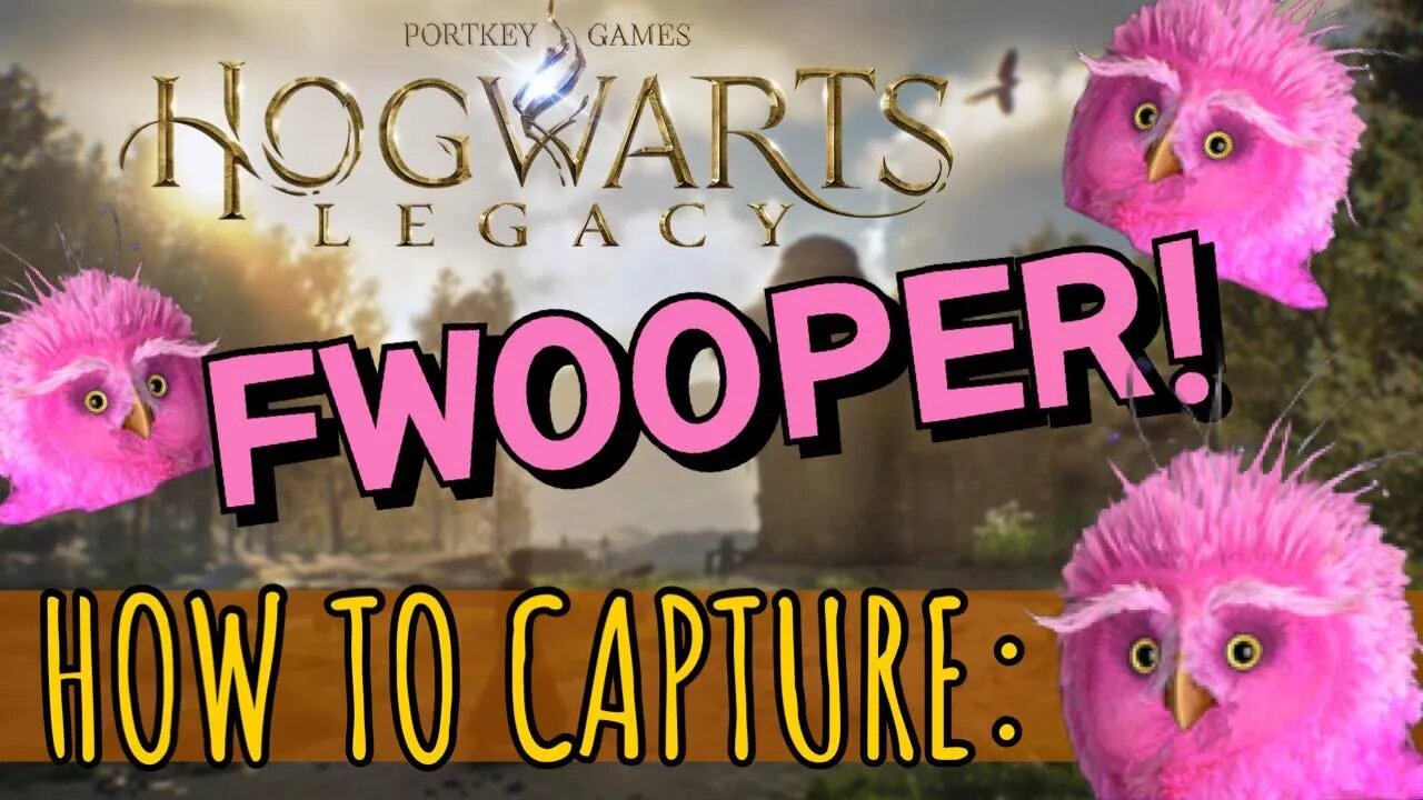 ⚡Where to Find and Capture the Fwooper in Hogwarts Legacy⚡