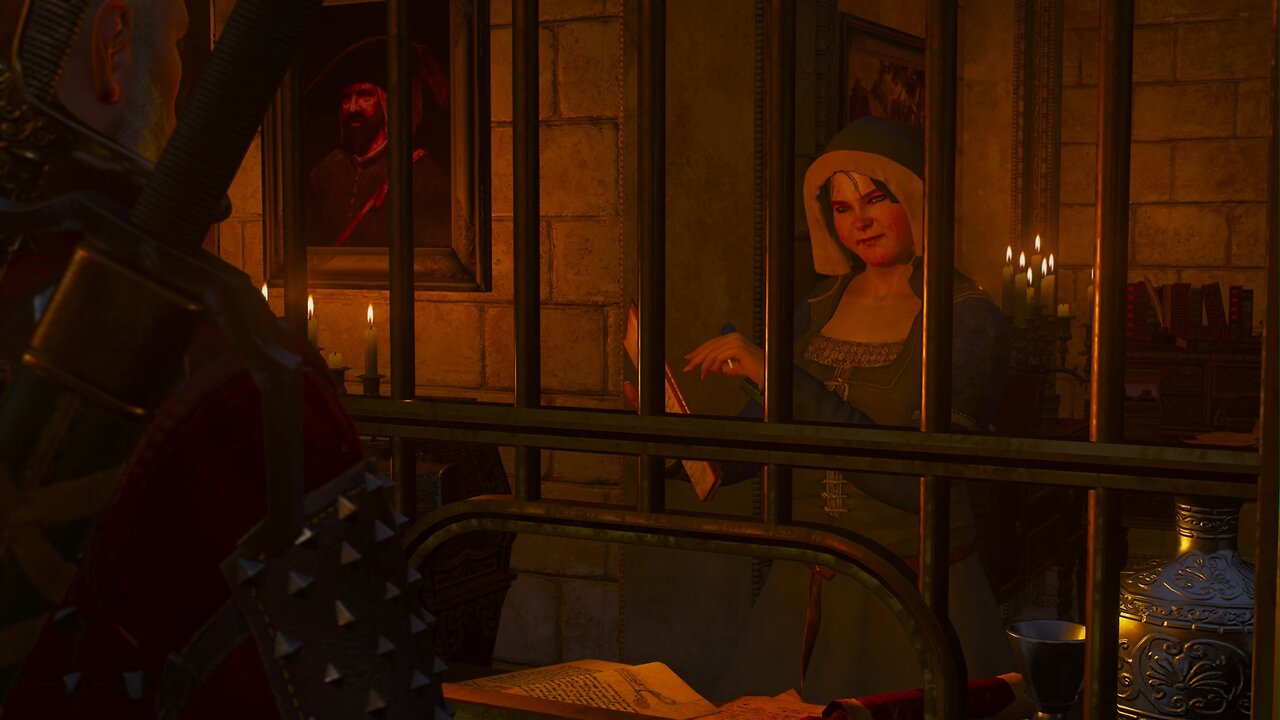 The Witcher vs Bureaucracy (Witcher 3 Blood and Wine)