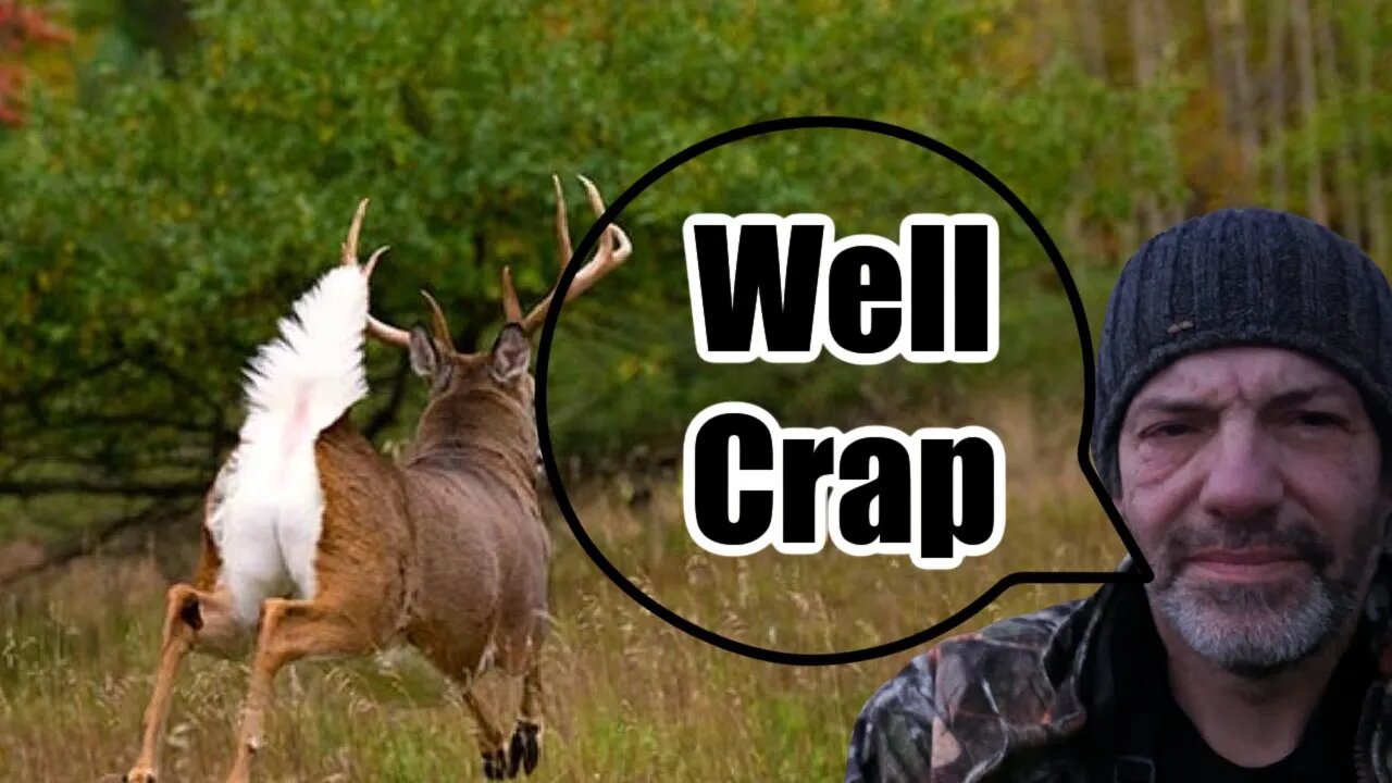 How much harm do you do when spooking a buck?