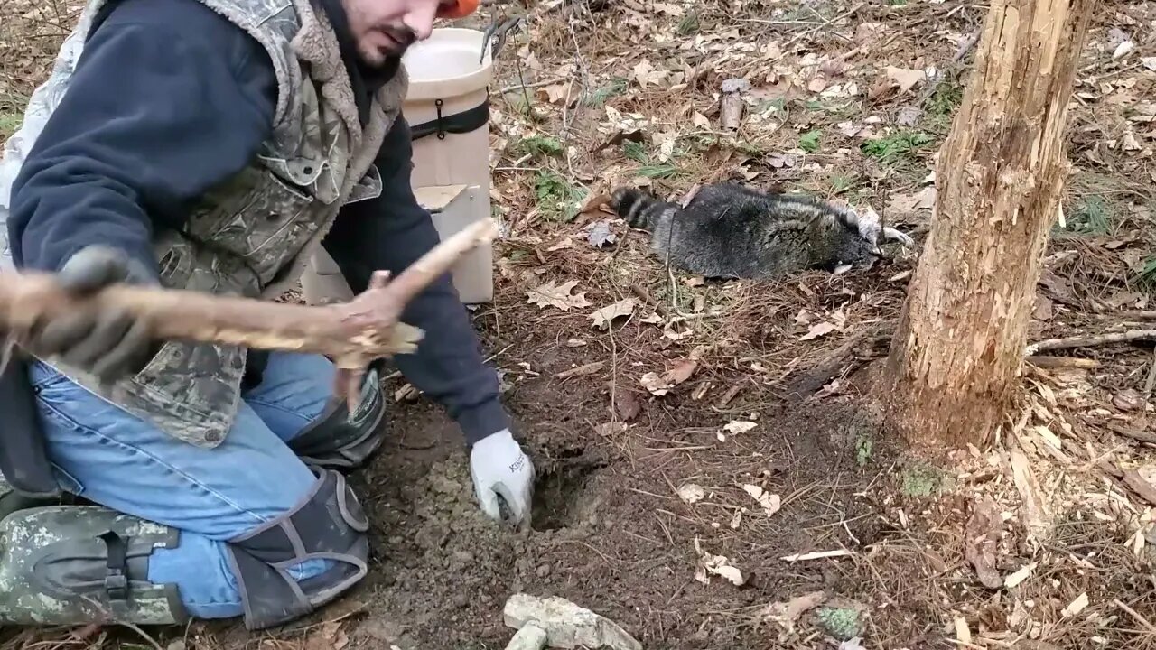 S.1 E.12 Trapping and Skinning a Raccoon