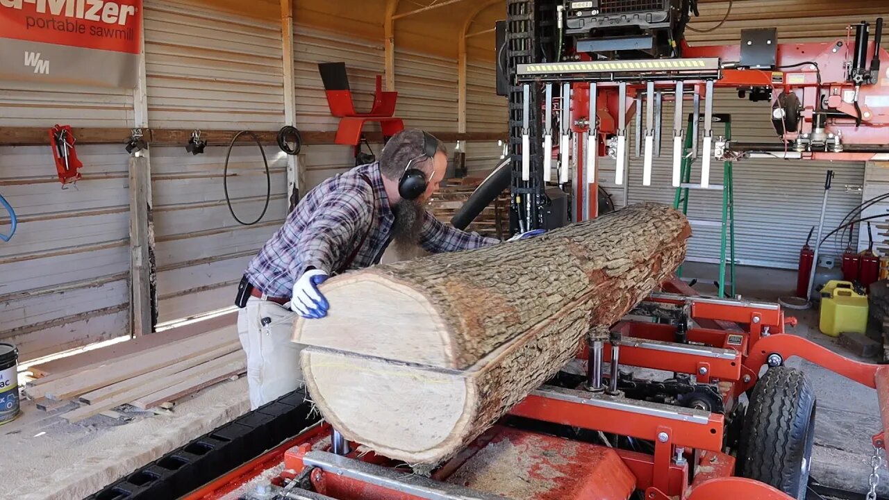 This Amazing Log Had Rays Coming Out From Every Direction